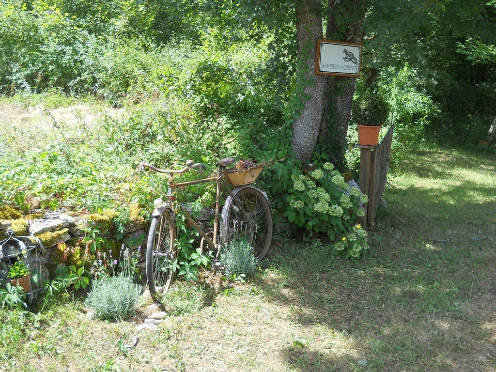 Le Domaine De La Genette Villa Paussac-et-Saint-Vivien Dış mekan fotoğraf